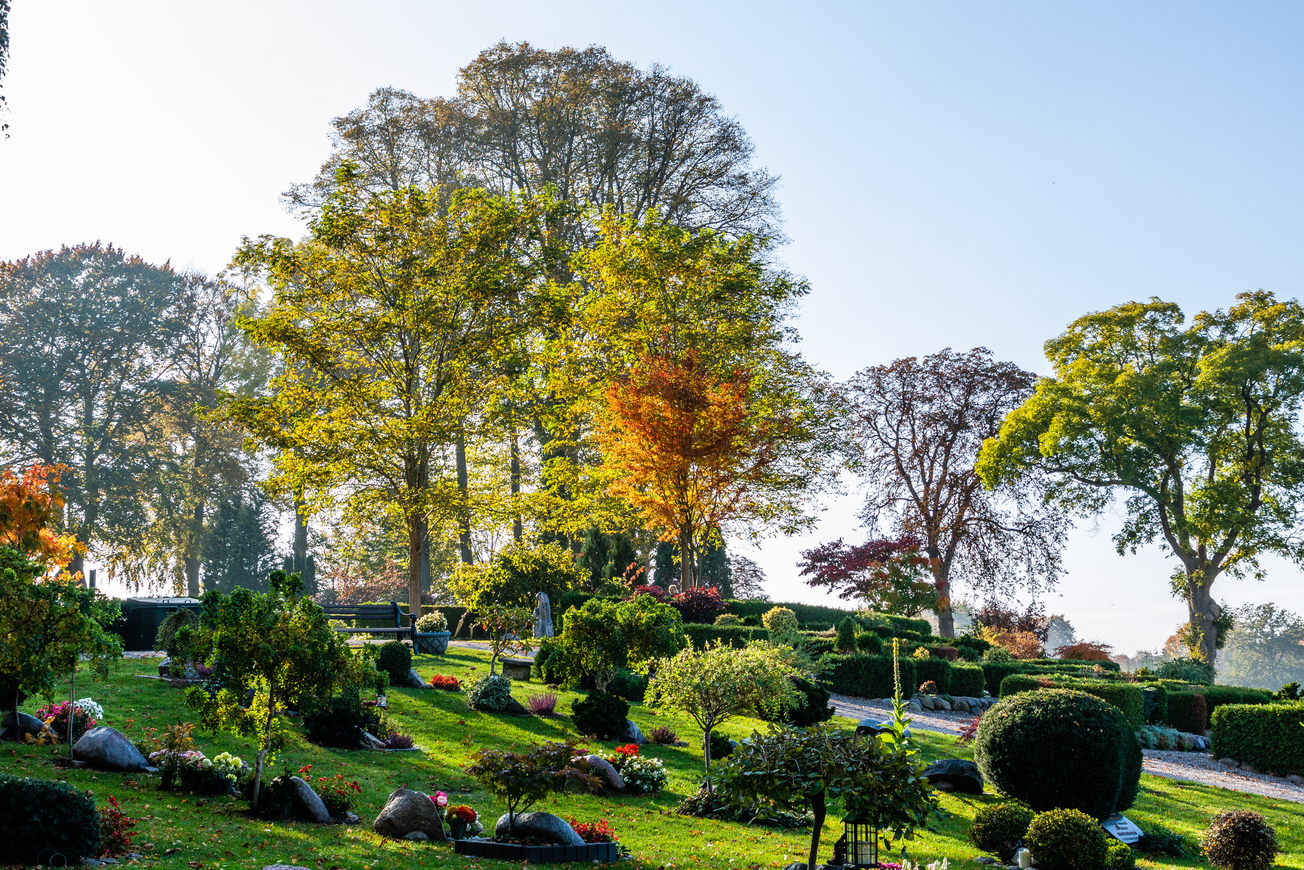 Billede fra Herlufsholm kirkegård
