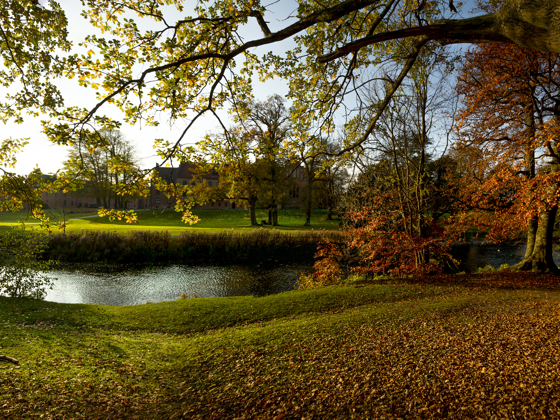 Udsigt fra Herlufsholm skov